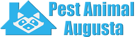 Augusta Wildlife and Animal Removal